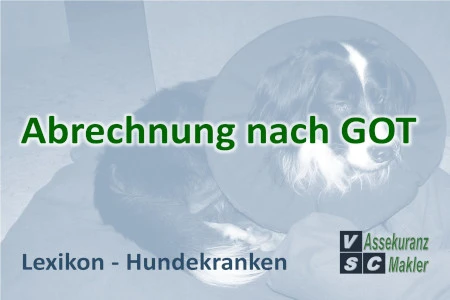 Die Gebührenordnung für Tierärzte (GOT) regelt die Preise für tierärztliche Leistungen in Deutschland. Eine Hundekrankenversicherung bietet umfassenden Schutz für medizinische Kosten, während eine Hund OP-Versicherung speziell Operationen abdeckt