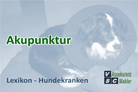 Akupunktur, Homöopathie