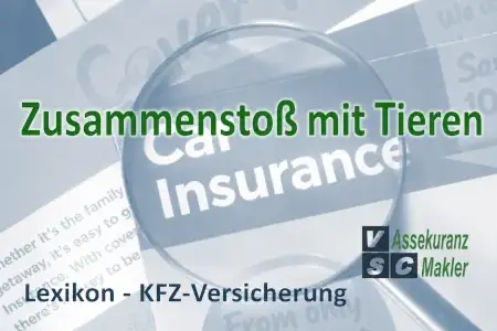 Zusammenstoß mit Tieren: Erfahren Sie, wann die Kfz-Teilkaskoversicherung bei Wildunfällen, Haarwild und Tieren aller Art den Fahrzeugschaden ersetzt.