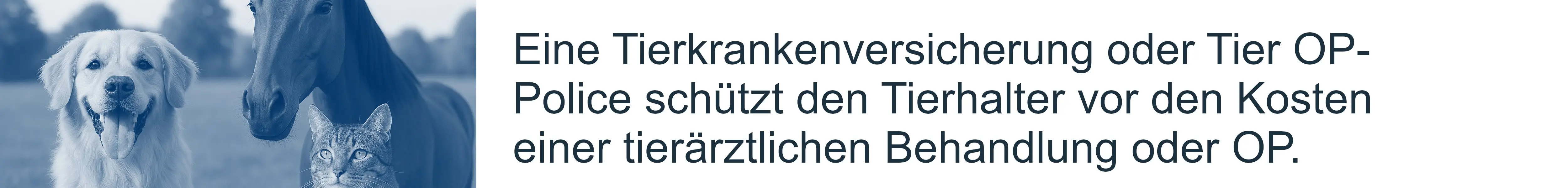 Versicherungsschutz für Tierhalter – Tierhalterhaftpflicht und Tierkrankenversicherung im Überblick